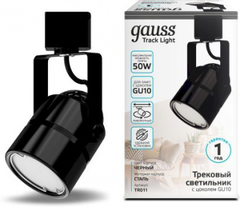 Светильник Gauss  TR011