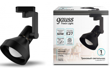 Светильник Gauss  TR013
