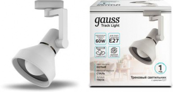 Светильник Gauss  TR014