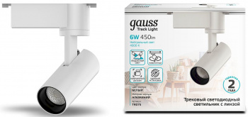 Светильник Gauss  TR075