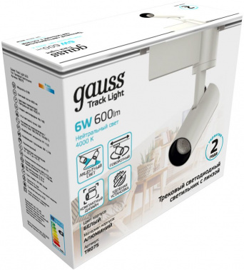 Светильник Gauss  TR075