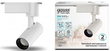 Светильник Gauss  TR077