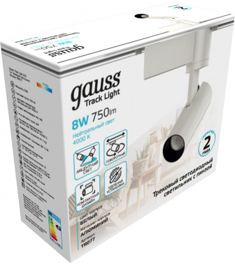 Светильник Gauss  TR077