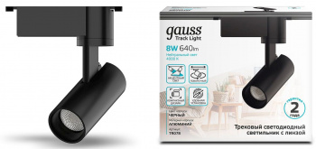 Светильник Gauss  TR078