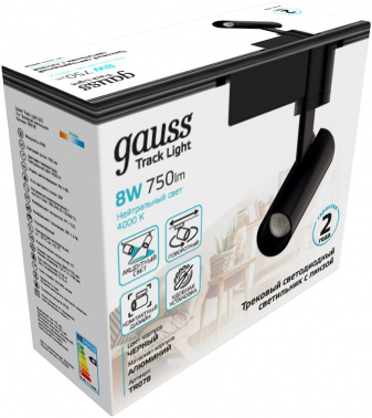 Светильник Gauss  TR078
