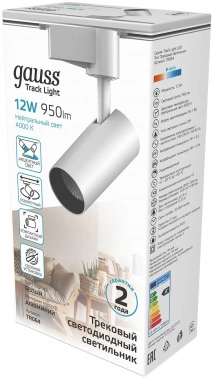 Светильник Gauss  TR064