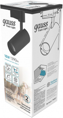 Светильник Gauss  TR067