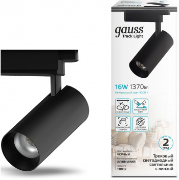 Светильник Gauss  TR082