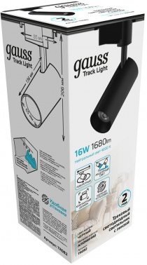 Светильник Gauss  TR082