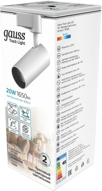 Светильник Gauss  TR068