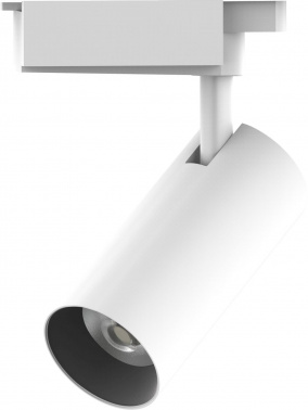 Светильник Gauss  TR083