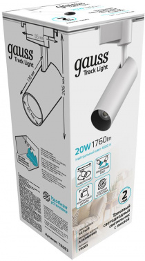 Светильник Gauss  TR083