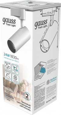 Светильник Gauss  TR070