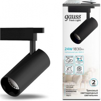 Светильник Gauss  TR071