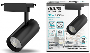 Светильник Gauss  TR088