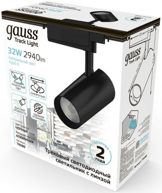 Светильник Gauss  TR088
