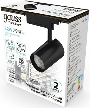Светильник Gauss  TR088