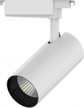 Светильник Gauss  TR072