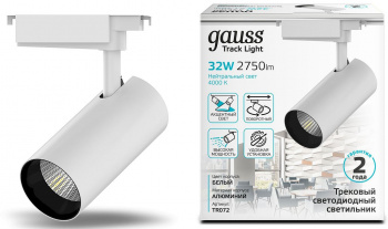Светильник Gauss  TR072