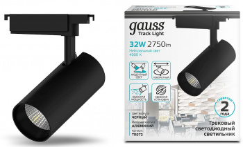 Светильник Gauss  TR073