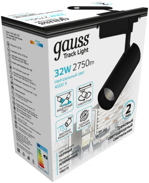 Светильник Gauss  TR073