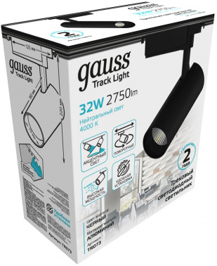 Светильник Gauss  TR073