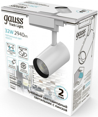 Светильник Gauss  TR087