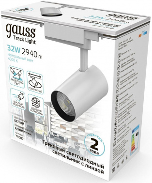 Светильник Gauss  TR087