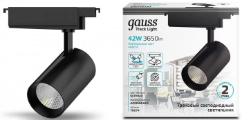 Светильник Gauss  TR074