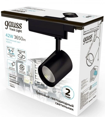 Светильник Gauss  TR074