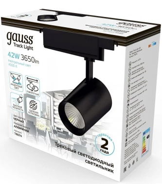 Светильник Gauss  TR074