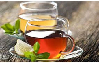 Термопот Caso HW 600