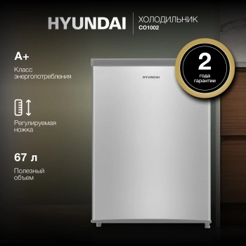Холодильник Hyundai CO1002