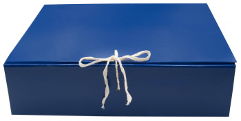 Короб архивный 2 завязки Silwerhof КБЗ-2-80Р бумвинил корешок 80мм разобранный A4 ассорти