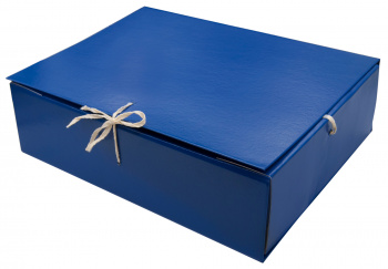 Папка архивная 4 завязки Silwerhof КБЗ-4-80Р бумвинил корешок 80мм разобранный A4 ассорти