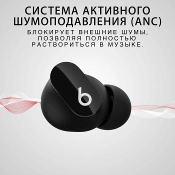 Гарнитура внутриканальные Beats Studio Buds True Wireless Noise Cancelling
