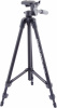 1561933_v01_s.jpg