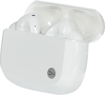 Гарнитура внутриканальные ZMI PurPods Pro TW100ZM