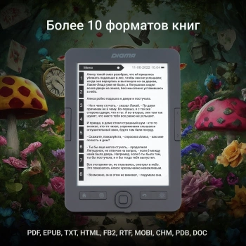 Электронная книга Digma M1