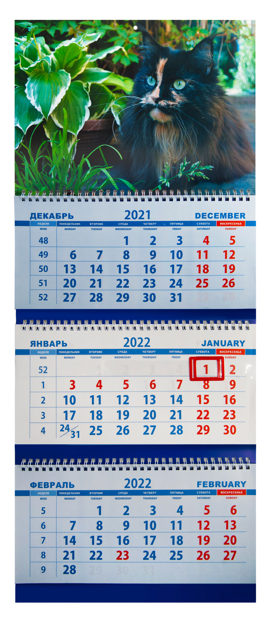 Календарь настенный К22213 Котик металлический гребень 3 2022