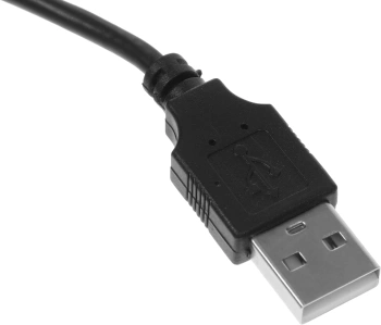 Камера Web Ritmix RVC-250