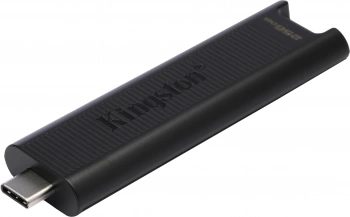 Флеш Диск Kingston 256Gb DataTraveler Type-C Max