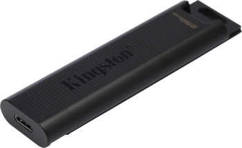 Флеш Диск Kingston 256Gb DataTraveler Type-C Max