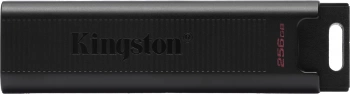 Флеш Диск Kingston 256Gb DataTraveler Type-C Max