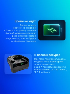 Зарядное устройство Greenworks  GC82C