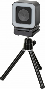 Камера Web Hikvision DS-UL4