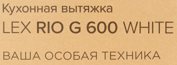 Вытяжка каминная Lex Rio G 600