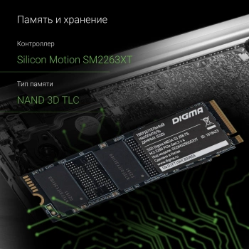 Накопитель SSD Digma PCIe 3.0 x4 256GB DGSM3256GS33T