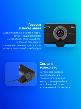 Камера Web Creative Live! Cam SYNC 1080P V2