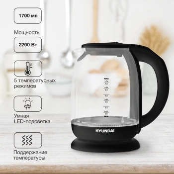 Чайник электрический Hyundai HYK-S3809